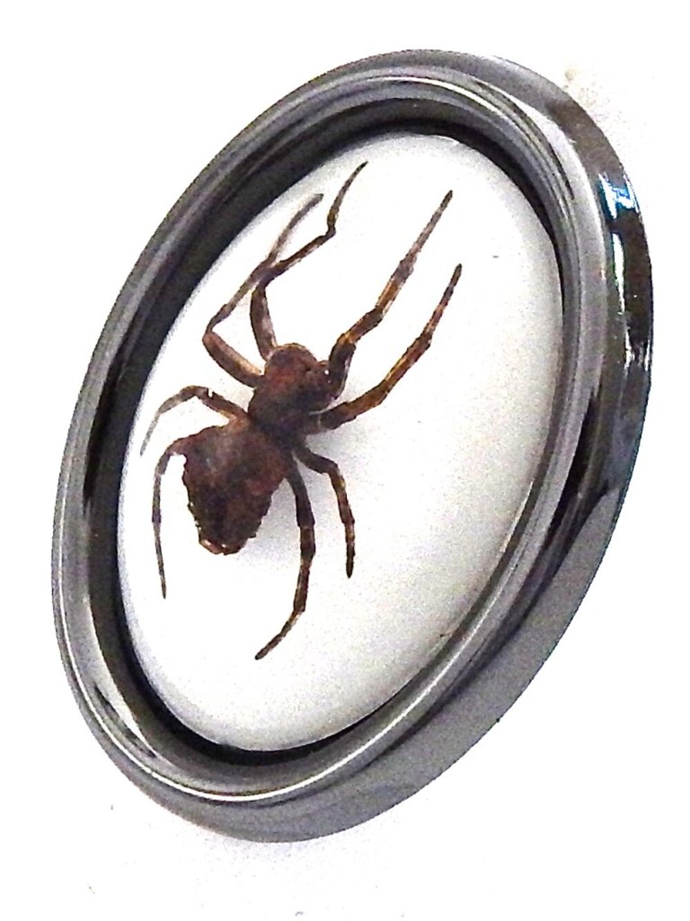 GASOLINE GLAMOUR GHOST SPIDER RING 🕷️🕸️👻 - Picture 2 of 7